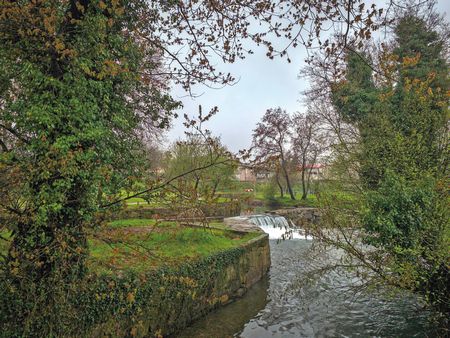 Fotos ASS. CORREDOR DO RIO LE�A 