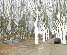 Sobre foto de ARQUIVO JOO DIAS CARRILHO