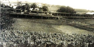 VISTA GERAL DA QUINTA DA FORMIGA, QUANDO ERA SEU PROPRIETRIO RIBEIRO TELES