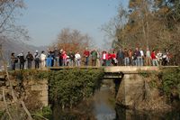 Foto MANUEL VALDREZ